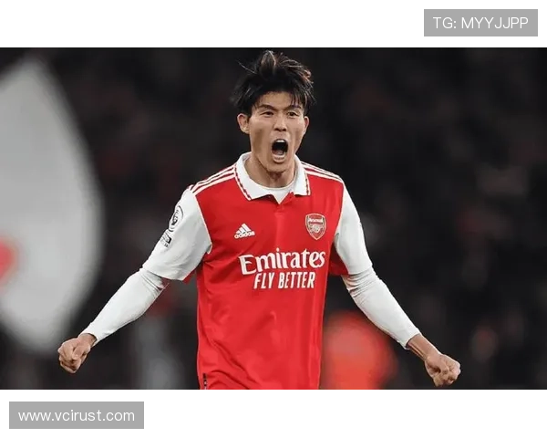 富安健洋伤退日本队不再补人 富安健洋伤退日本队不再补人